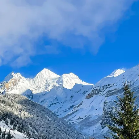Swiss Alps Lodge Kandersteg Exterior photo