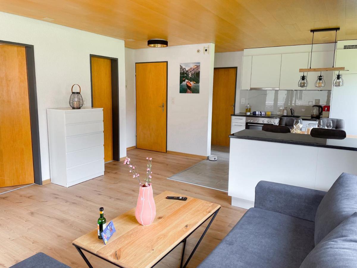 Swiss Alps Apartment *