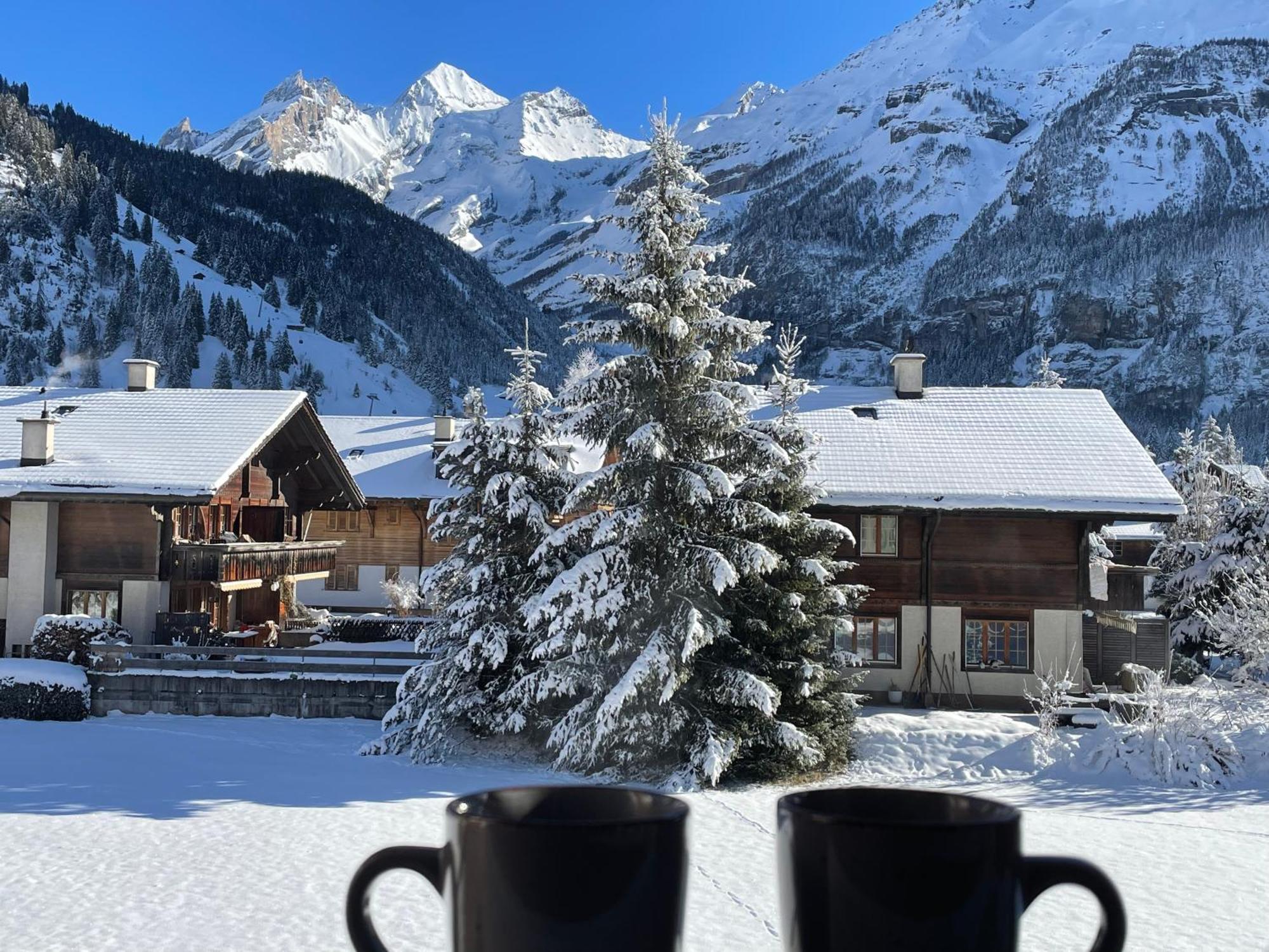 Apartment Swiss Alps