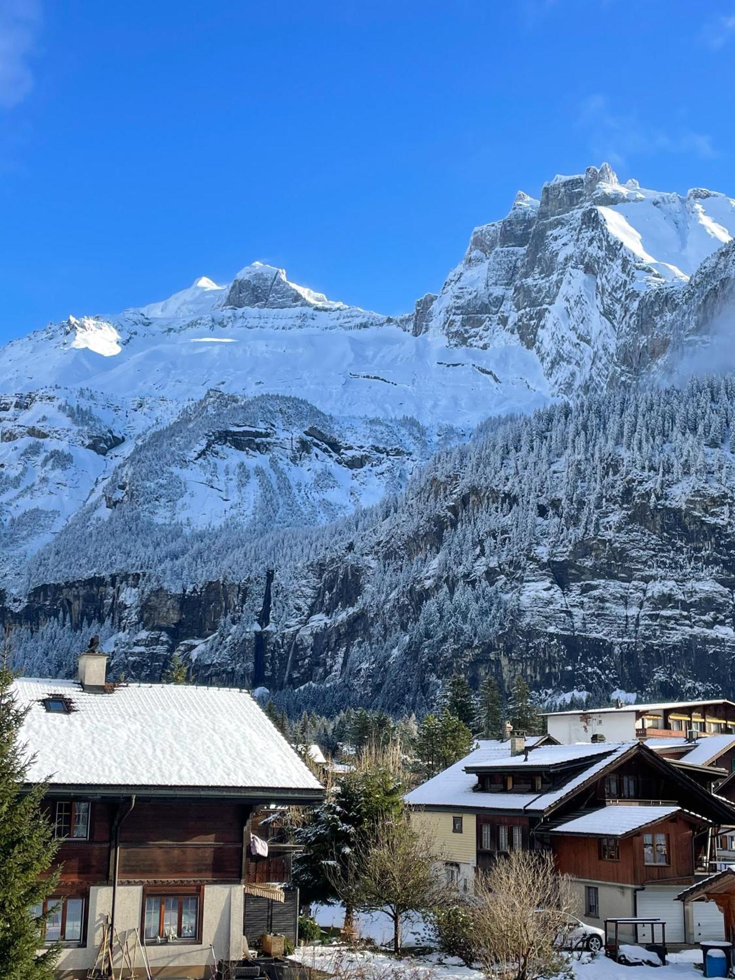 Swiss Alps Apartment *