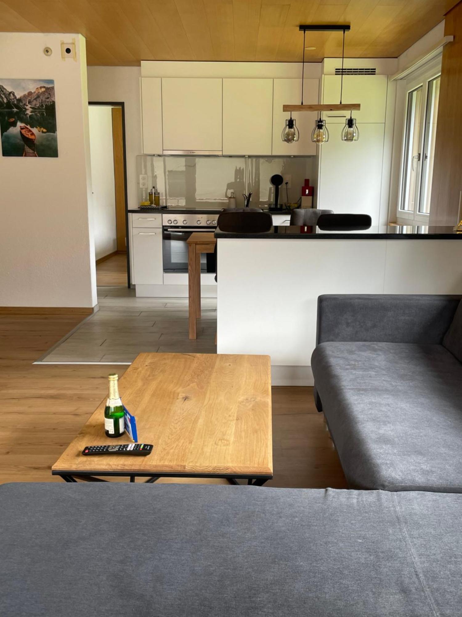 Swiss Alps Apartment